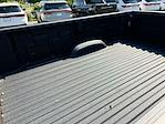 2025 GMC Sierra 3500 Crew Cab 4WD Pickup for sale #F346153 - photo 12