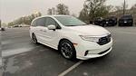 Used 2024 Honda Odyssey Elite Minivan for sale #11260299A - photo 3