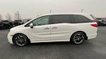 Used 2024 Honda Odyssey Elite Minivan for sale #11260299A - photo 6