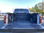 2025 Ford F-150 SuperCrew Cab 4WD Pickup for sale #13260082A - photo 20