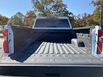 2020 Chevrolet Silverado 2500 Crew Cab SRW 4WD Pickup for sale #13260134A - photo 21
