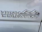 2025 Chevrolet Silverado 1500 Crew Cab 4WD Pickup for sale #F1141254A - photo 22