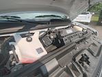 2024 Chevrolet Express 3500 Regular Cab RWD Cutaway for sale #F1141289 - photo 26