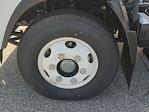 2025 Chevrolet LCF 4500HD Regular Cab RWD Cab Chassis for sale #F1150084 - photo 28