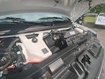 2025 Chevrolet Express 3500 Regular Cab RWD Service Utility Van for sale #F1150487 - photo 56