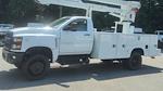 2024 Chevrolet Silverado 6500 Regular Cab DRW 4WD, Knapheide Steel Service Body Service Truck for sale #M1140640 - photo 5