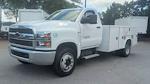 2024 Chevrolet Silverado 5500 Regular Cab DRW 2WD, Service Truck for sale #M1140670 - photo 6