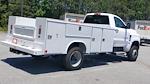 2024 Chevrolet Silverado 4500 Regular Cab DRW 4WD, Service Truck for sale #M1140753 - photo 8