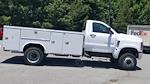 2024 Chevrolet Silverado 4500 Regular Cab DRW 4WD, Service Truck for sale #M1140753 - photo 9