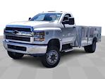 2024 Chevrolet Silverado 4500 Regular Cab DRW 4WD, Service Truck for sale #M1140753 - photo 29