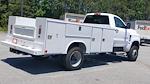 2024 Chevrolet Silverado 4500 Regular Cab DRW 4WD, Service Truck for sale #M1140753 - photo 36