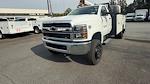 New 2024 Chevrolet Silverado 5500 Regular Cab Mechanics Body for sale #M1141266 - photo 5