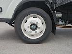 2024 Chevrolet LCF 5500XG Regular Cab RWD Cab Chassis for sale #M1141303 - photo 25