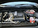 2026 GMC Sierra 1500 Crew Cab 4WD Pickup for sale #13260214 - photo 55