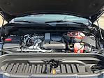 2025 GMC Sierra 1500 Crew Cab 4WD Pickup for sale #1350859 - photo 24