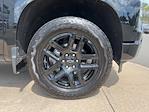 2025 Chevrolet Silverado 1500 Crew Cab 4WD Pickup for sale #N4824R - photo 11