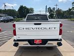 2019 Chevrolet Silverado 1500 Double Cab 4WD Pickup for sale #N5573B - photo 4