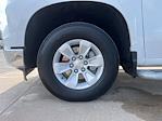2024 Chevrolet Silverado 1500 Regular Cab 2WD Pickup for sale #U1213 - photo 13