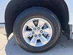 2024 Chevrolet Silverado 1500 Regular Cab 2WD Pickup for sale #U1285 - photo 13
