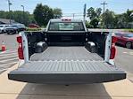 2024 Chevrolet Silverado 1500 Regular Cab 2WD Pickup for sale #U1318 - photo 5