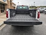 2024 Ford F-150 Regular Cab 4x2 Pickup for sale #R23295 - photo 13