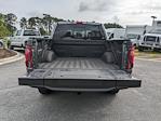 2024 Ford F-150 SuperCrew Cab 4WD Pickup for sale #00R89439 - photo 13
