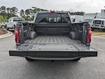 2024 Ford F-150 SuperCrew Cab 4WD Pickup for sale #00R93538 - photo 13