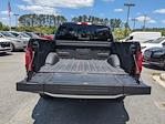 2024 Ford F-150 SuperCrew Cab 4WD Pickup for sale #00R93613 - photo 13