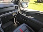 2025 Ford F-150 SuperCrew Cab 4WD Pickup for sale #00T00850 - photo 16