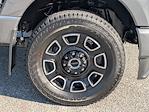 New 2025 Ford F-250 Platinum Crew Cab 4x4 Pickup for sale #T06398 - photo 12