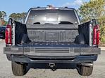 2025 Ford F-150 SuperCrew Cab 4WD Pickup for sale #00T10533 - photo 13