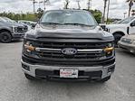 2024 Ford F-150 SuperCrew Cab 4WD Pickup for sale #00T11541 - photo 9