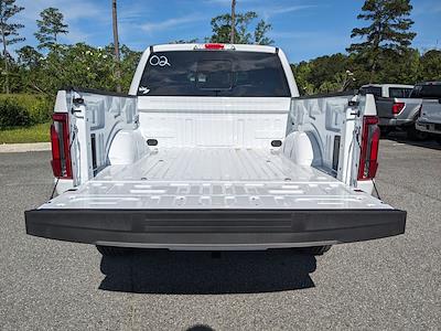 New 2025 Ford F-150 - photo 1