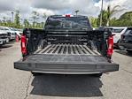 2023 Ford F-150 SuperCrew Cab 4WD Pickup for sale #00T19115 - photo 13