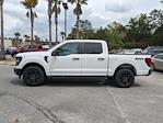 2024 Ford F-150 SuperCrew Cab 4WD Pickup for sale #00T22526 - photo 7