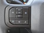2025 Ford F-150 SuperCrew Cab RWD Pickup for sale #00T32155 - photo 23