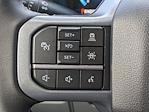 2025 Ford F-150 SuperCrew Cab RWD Pickup for sale #00T33054 - photo 26