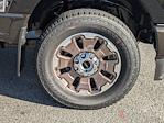 2025 Ford F-350 Crew Cab SRW 4WD Pickup for sale #00T35915 - photo 12