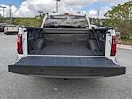 2025 Ford F-150 SuperCrew Cab RWD Pickup for sale #00T40324 - photo 13