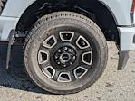 2025 Ford F-250 Crew Cab 4WD Pickup for sale #00T45384 - photo 12