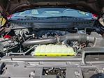 New 2025 Ford F-150 Platinum SuperCrew Cab 4x4 Pickup for sale #T47525 - photo 10