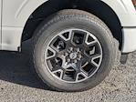 2024 Ford F-150 SuperCrew Cab 4WD Pickup for sale #00T47706 - photo 12
