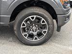 2024 Ford F-150 SuperCrew Cab 4WD Pickup for sale #00T49861 - photo 12