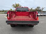 2024 Ford F-250 Crew Cab 4WD Pickup for sale #00T52122 - photo 13