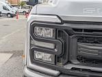 2024 Ford F-250 Crew Cab 4WD Pickup for sale #00T52589 - photo 10