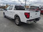 2024 Ford F-150 SuperCrew Cab RWD Pickup for sale #00T53623 - photo 6