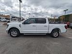 2024 Ford F-150 SuperCrew Cab RWD Pickup for sale #00T53623 - photo 7