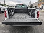 2024 Ford F-150 Regular Cab RWD Pickup for sale #00T60143 - photo 13