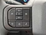2024 Ford F-150 Regular Cab RWD Pickup for sale #00T60143 - photo 23