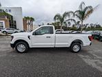 2024 Ford F-150 Regular Cab RWD Pickup for sale #00T60143 - photo 7